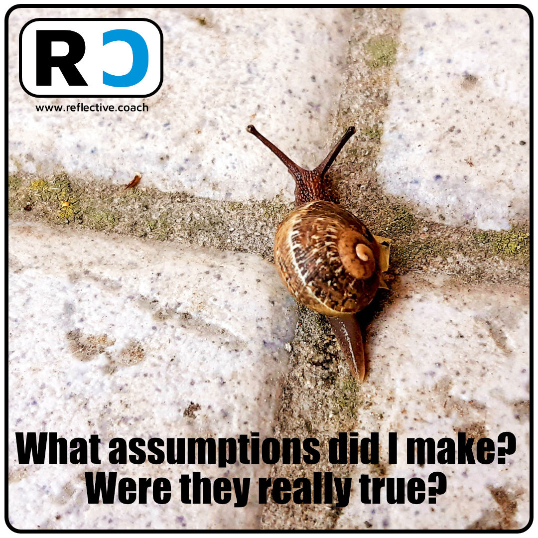 Reflective Coach Coaching Reflection Card 003 - What assumptions did I make? Were they really true?